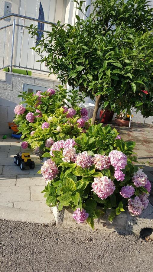 דוברובניק Apartments Ira מראה חיצוני תמונה